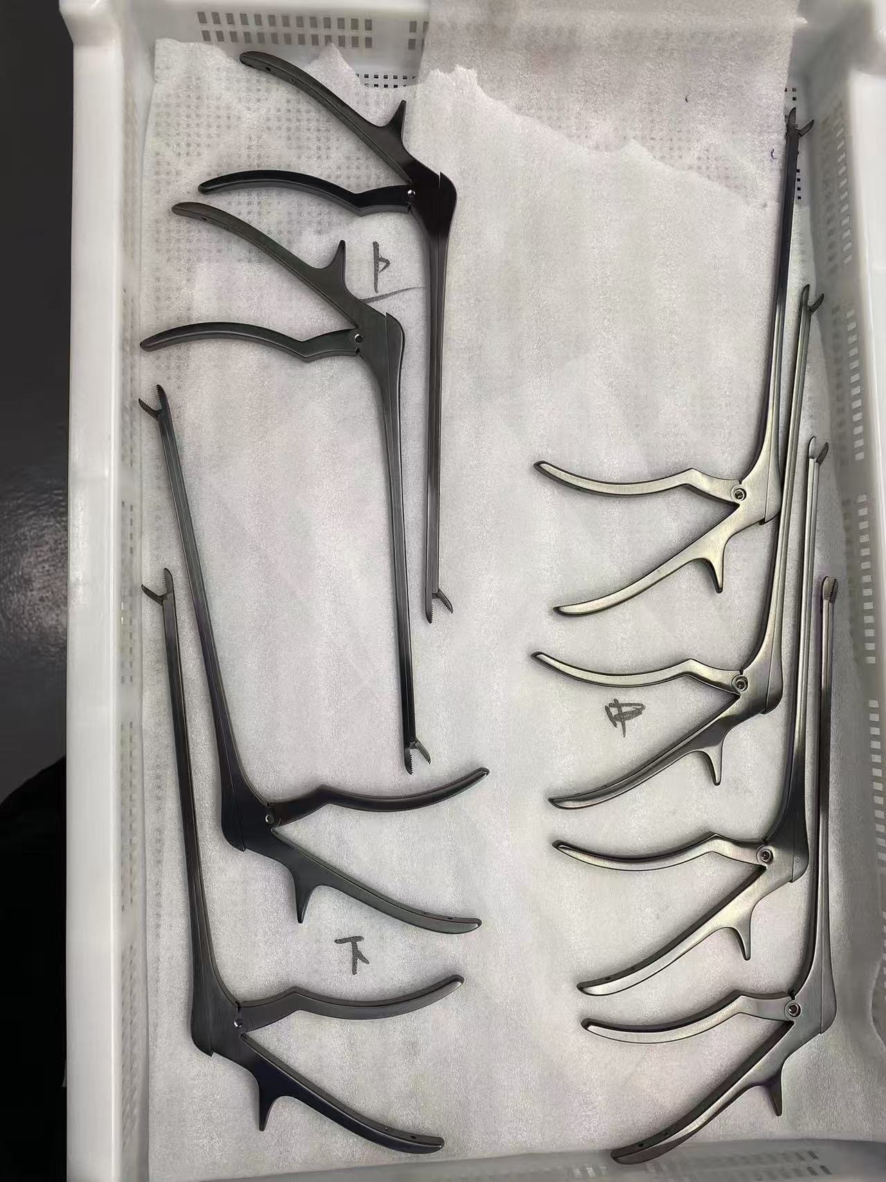 1742956574524761.jpg CrN.jpg